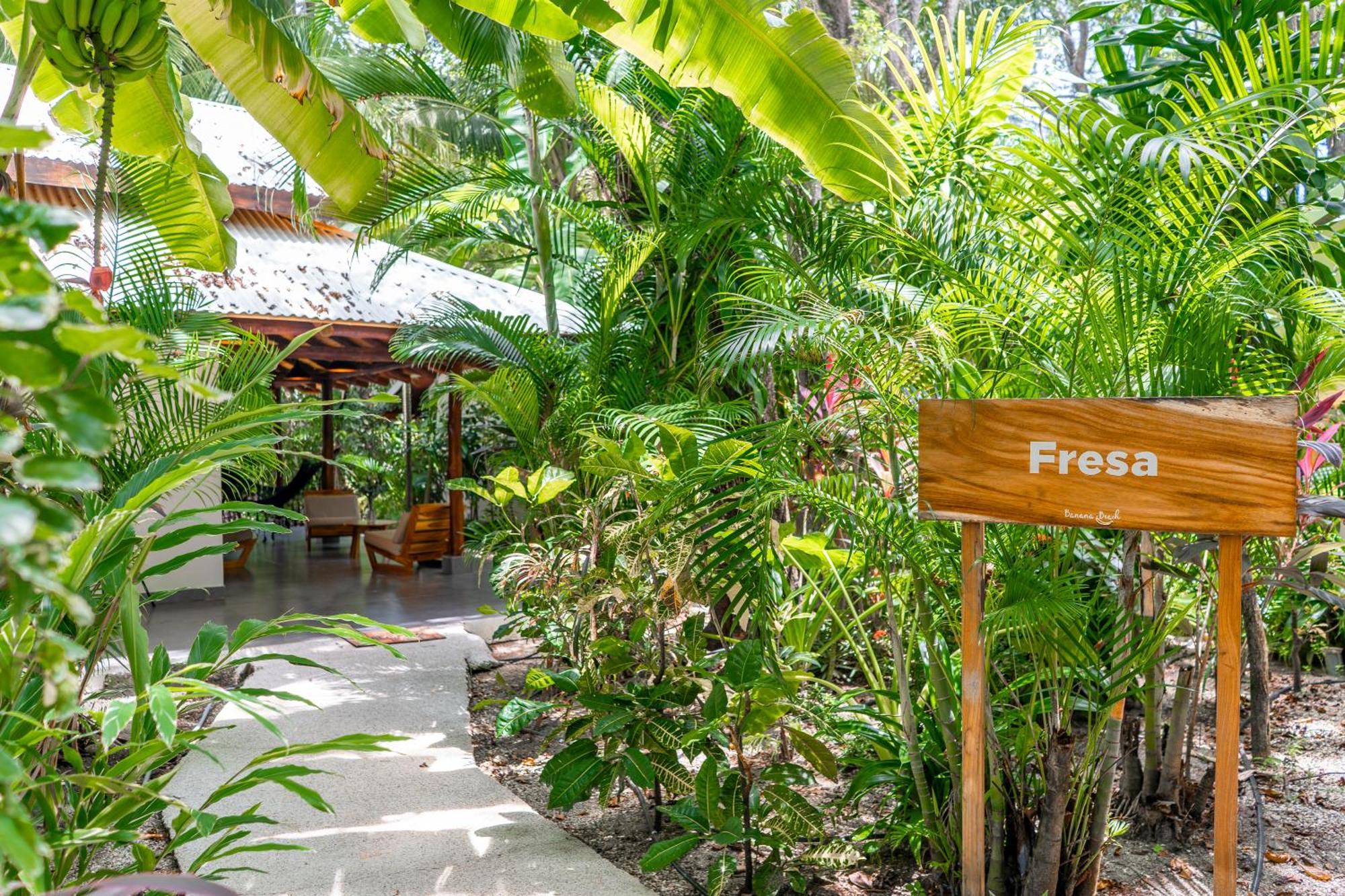 Banana Beach Bungalows Playa Santa Teresa  外观 照片